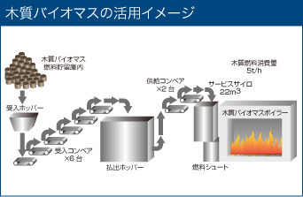 木質バイオマスの活用イメージ